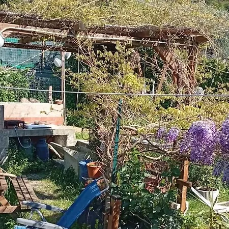 La Casa di Trilli-3